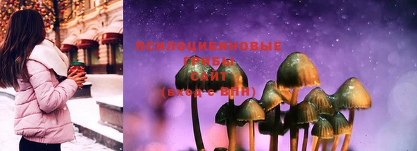 соль ск Володарск
