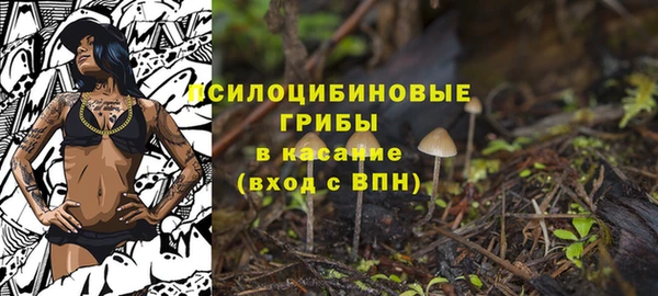 экстази Няндома