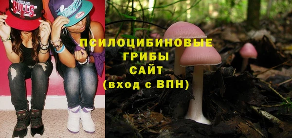 таблы Осташков