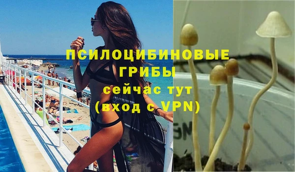 таблы Осташков