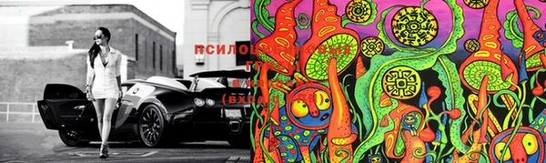 2c-b Остров