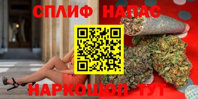 гидра Берёзовский