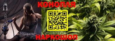 спиды Бийск