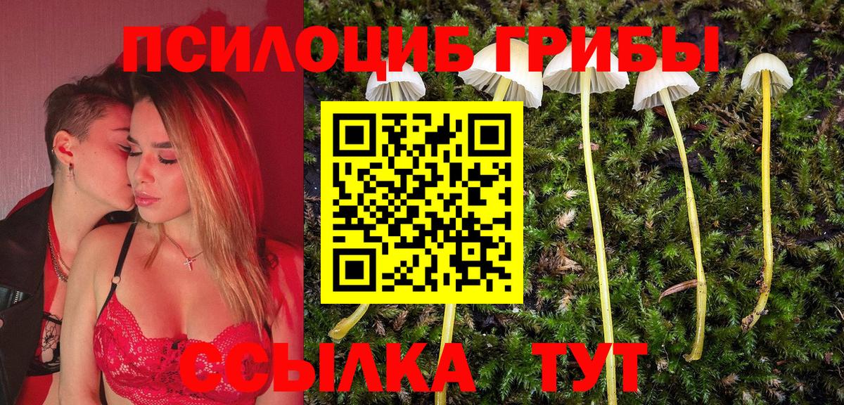 Галлюциногенные грибы прущие грибы  Ейск 