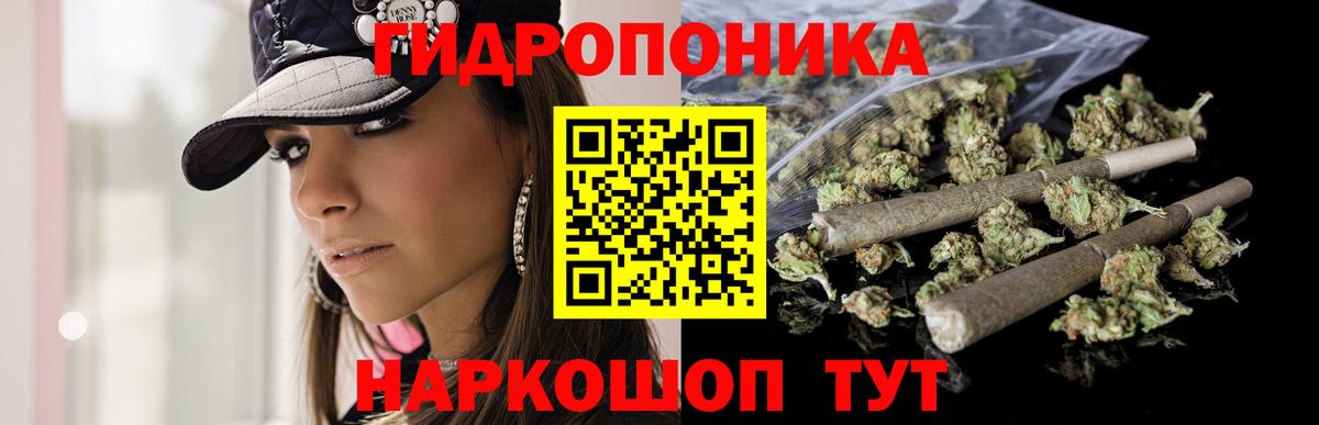 Марихуана сатива  Ейск  Каннабис Bruce Banner  Конопля тримм 